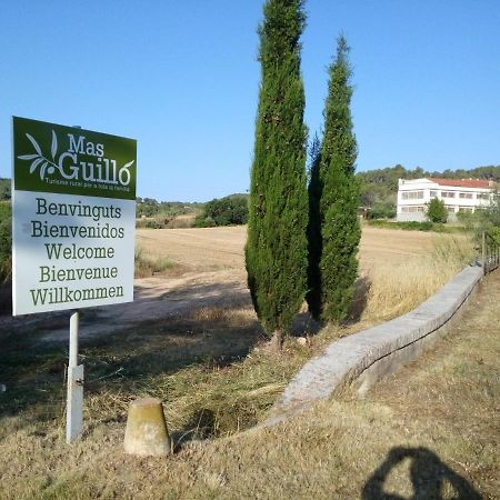 La Nursery De Mas Guillo San Quintín de Mediona Exterior photo
