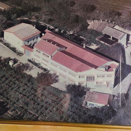 La Nursery De Mas Guillo San Quintín de Mediona Exterior photo